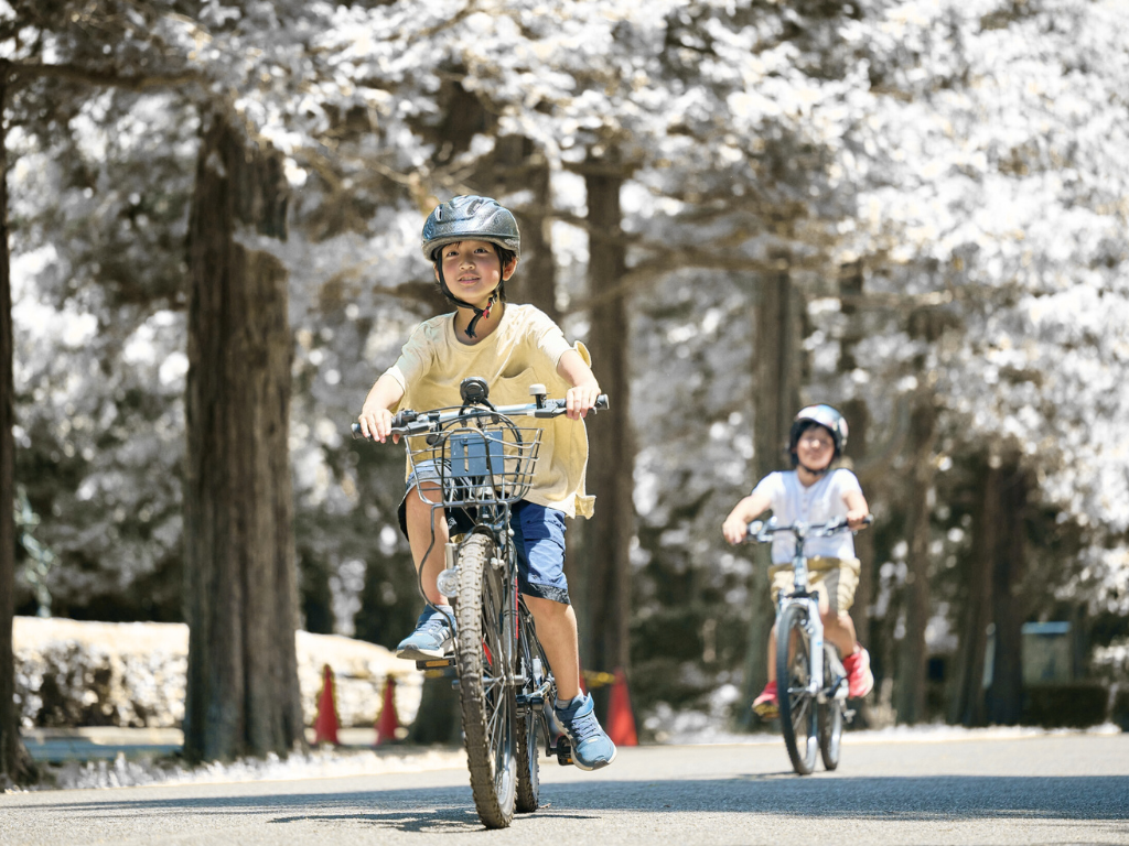 Cycling Adventures